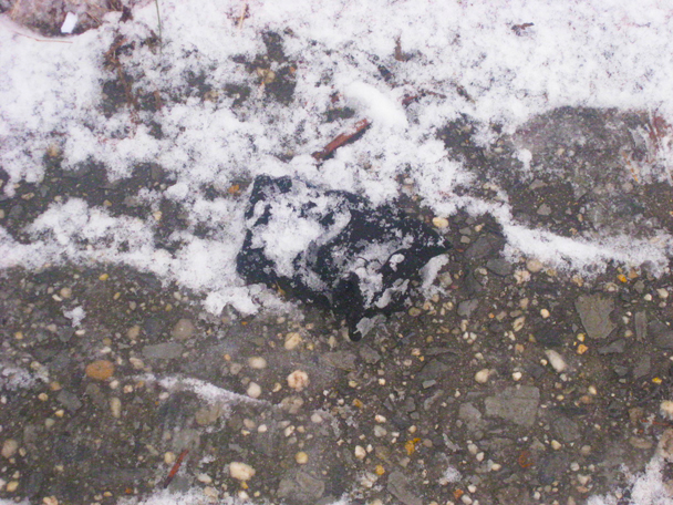 L'inverno 1